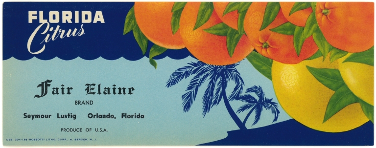 Fair Elaine Brand Florida Citrus Label by Anonymous