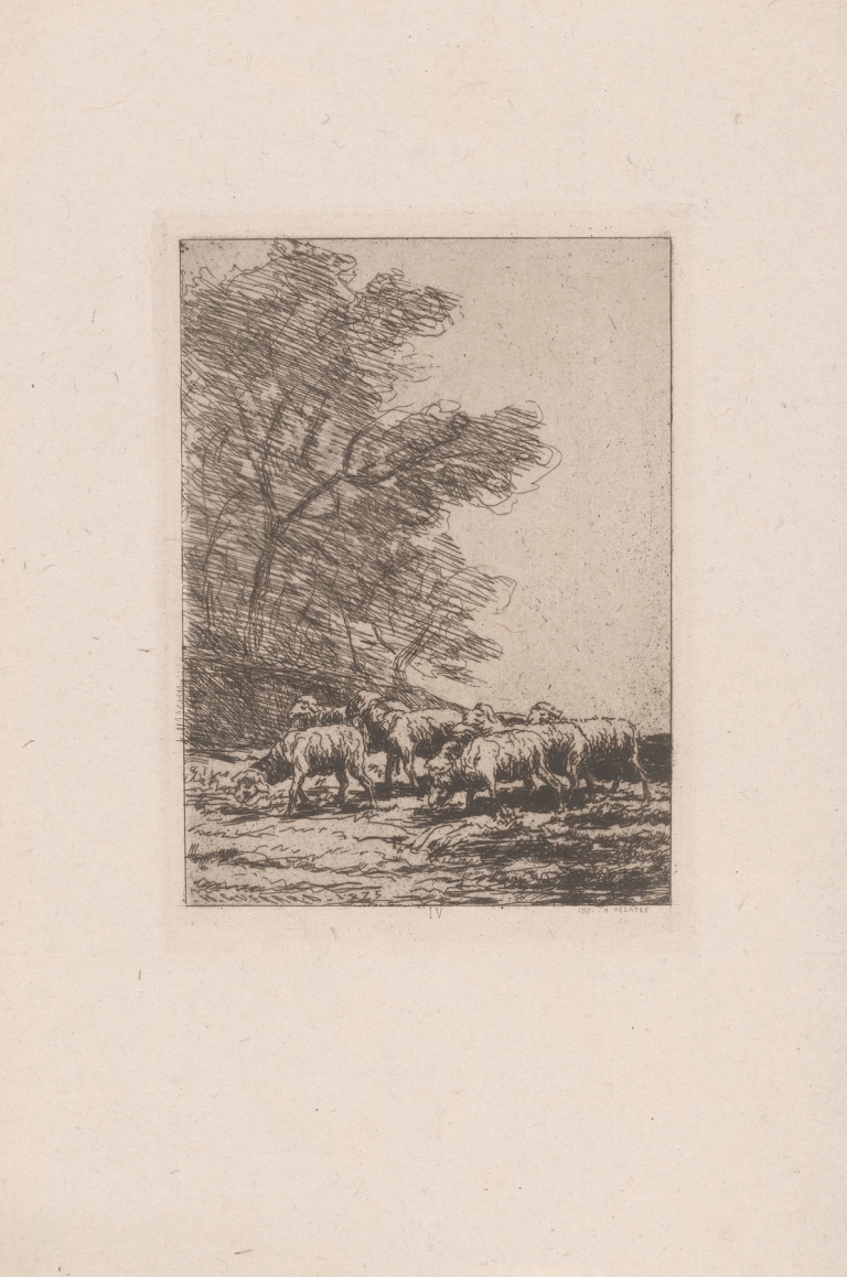 Flock of sheep by Henri-Charles Guérard