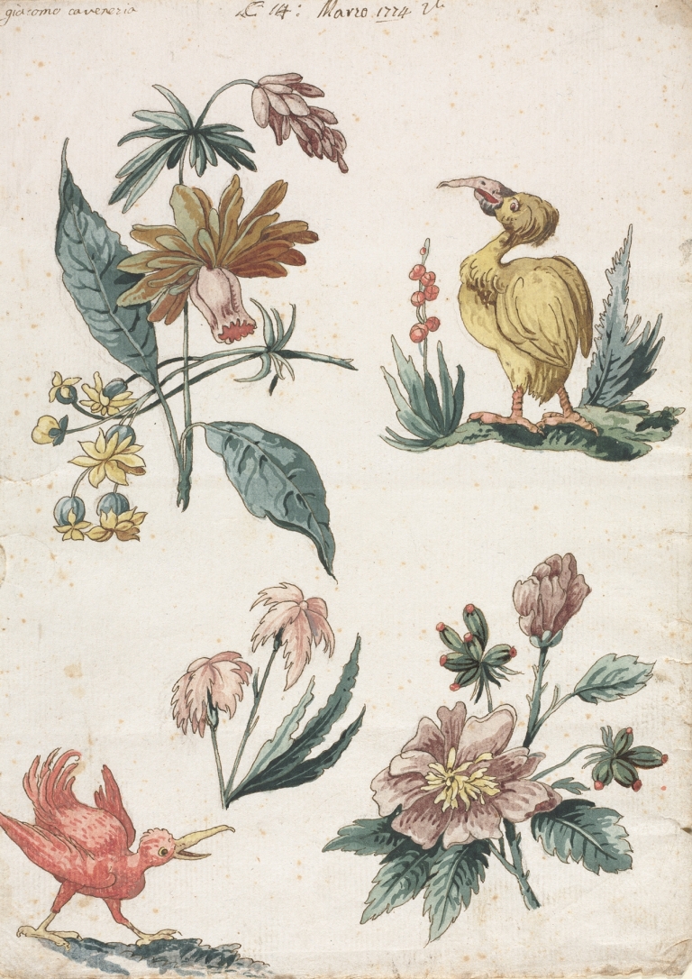 Floral Designs with Two Birds by Giacomo Cavenezia