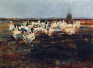 Gänseherde auf der Weide by Demeter Koko