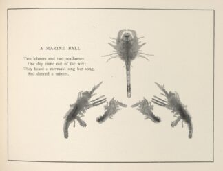 Gobolinks or shadow-pictures for young and old Pl.67 by Ruth McEnery Stuart