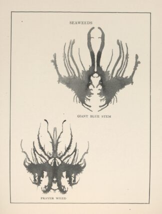 Gobolinks or shadow-pictures for young and old Pl.71 by Ruth McEnery Stuart