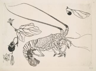 Grand langouste aux antennes relevées by Félix Bracquemond