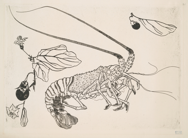 Grand langouste aux antennes relevées by Félix Bracquemond