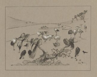 Groep slapende vogels by Theo van Hoytema