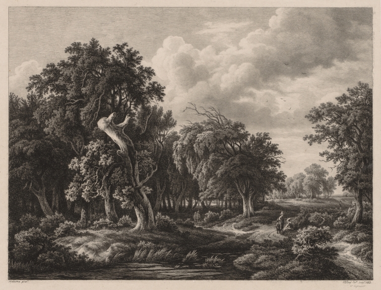 Groups of Various Plants Drawn After Nature; No. 7 by Eugene Blery