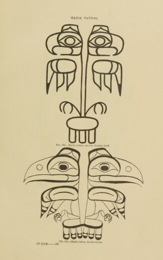 Haida Tattoo; double thunder-bird, double raven by Garrick Mallery