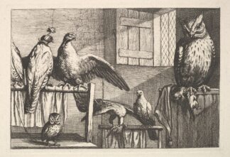 Hawks and owls by Wenceslaus Hollar