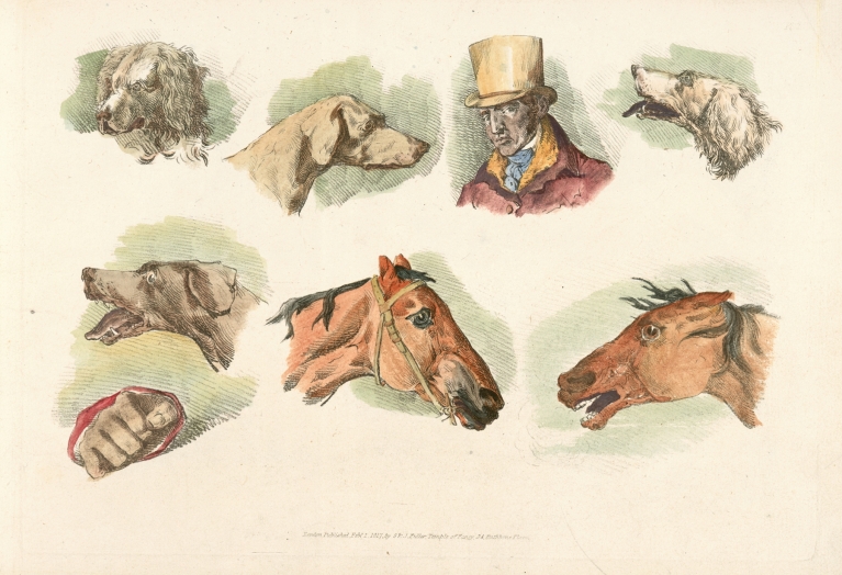 Heads of dogs, horses and of a man by Henry Thomas Alken