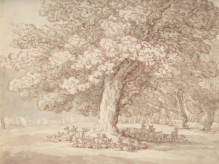Herd of deer under an oak tree by Thomas Rowlandson