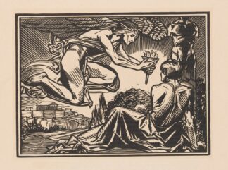 Het beeld en de gedachte by Johannes Josephus Aarts