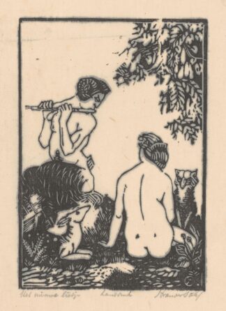 Het nieuwe liedje by Henri van der Stok