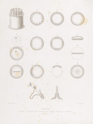 Histoire des arts industriels au moyen âge et à l’époque de la renaissance Pl.31 by Joseph Rose Lemercier