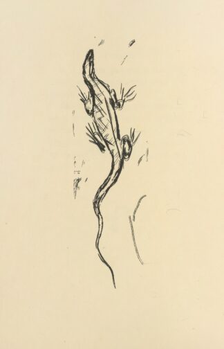 Histoires naturelles Pl 28 by Pierre Bonnard