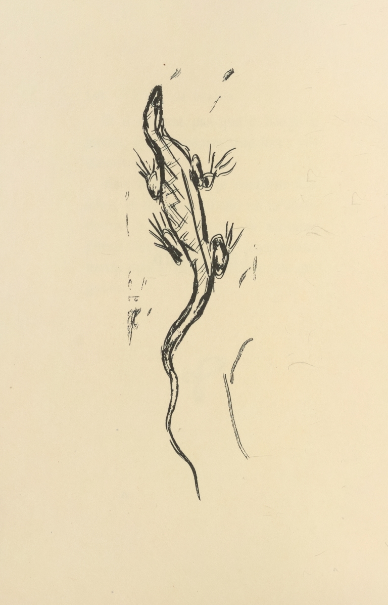 Histoires naturelles Pl 28 by Pierre Bonnard