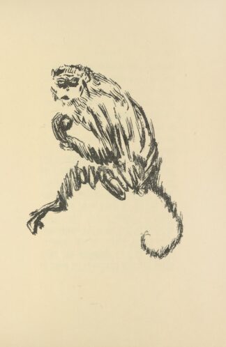 Histoires naturelles Pl 45 by Pierre Bonnard