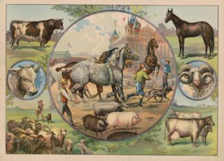 Horses and jockeys at the fair by Calvert Litho. Co