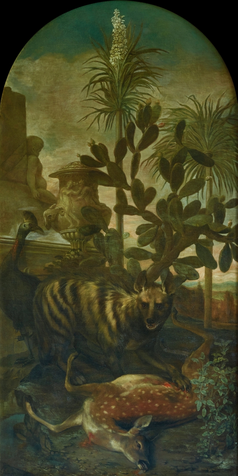 Hyäne, Antilope und Kasuar in Kakteenlandschaft by Ignaz Heinitz von Heinzenthal