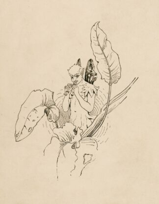 Illustration from A Midsummer night’s dream by Fanny Railton