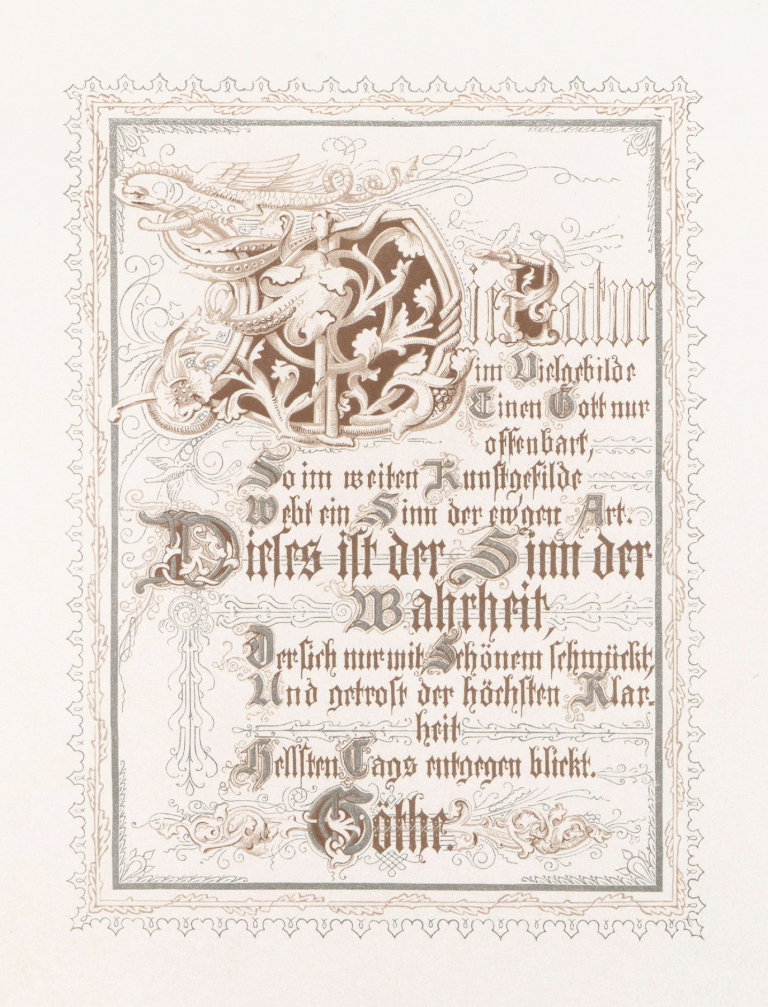 In Freude und Leid Pl.05 by Alwine Schroedter