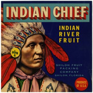 Indian Chief Fruit Label by Anonymous