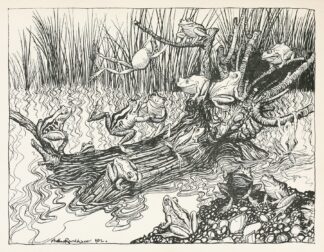 King Log by Arthur Rackham