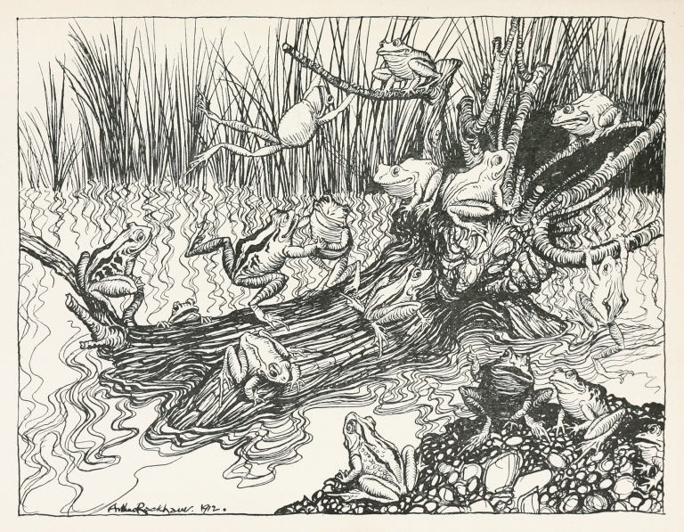 King Log by Arthur Rackham