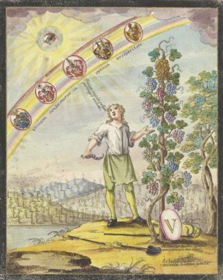 Knabe mit einem Rebmesser vor einem Weinstock by Johann Esaias Nilson