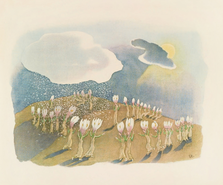 Krokus by Ernst Kreidolf