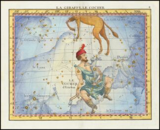 La Giraffe, Le Cocher by John Flamsteed