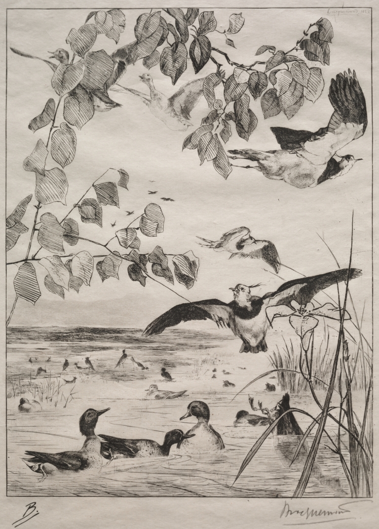 Lapwings and Teals by Félix Bracquemond