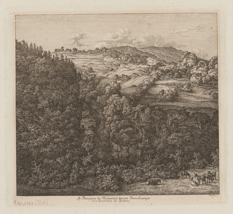 Le Precipice du Toubenloch derriere Boucheamps aux Environs de Bienne by Johann Joseph Hartmann