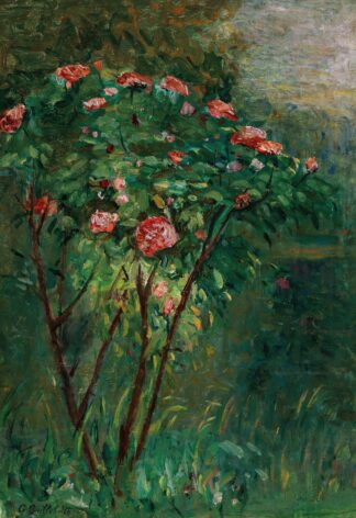 Le rosier fleuri by Gustave Caillebotte