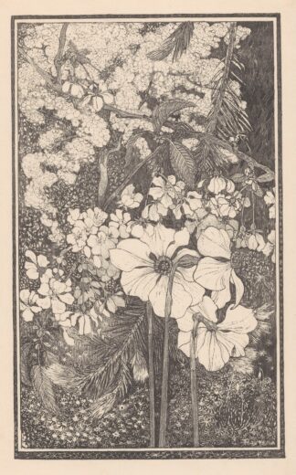 Lente by Theo van Hoytema