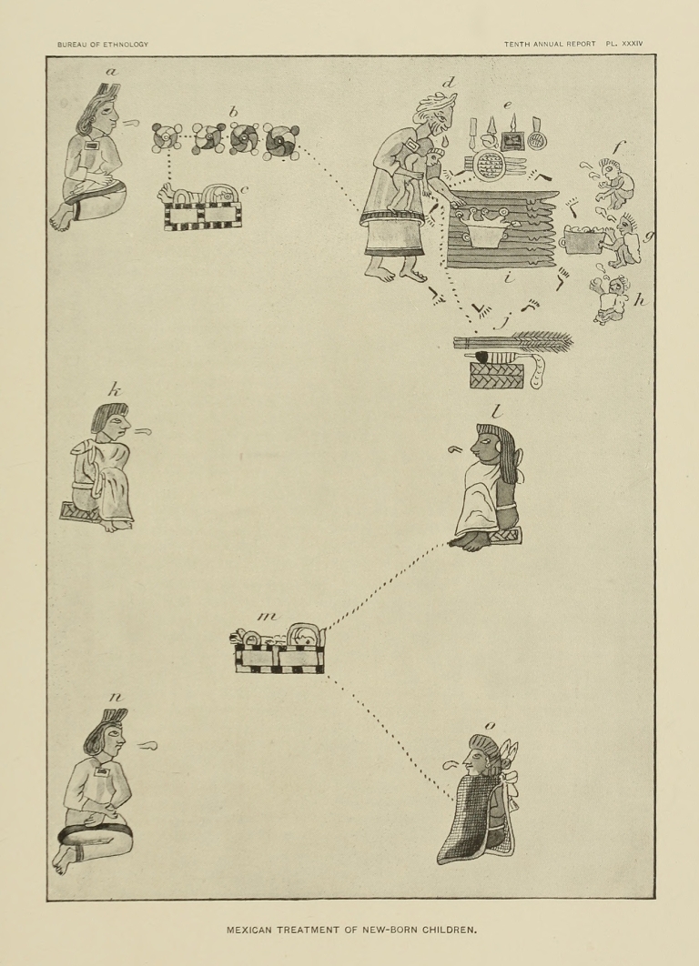 Mexican treatment of New-born Children by Garrick Mallery