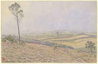 Morgat, landes de Lequiffiniec dans la brume by Henri Rivière