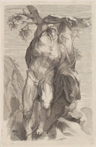Naked Man Tied Up by Peter Paul Rubens