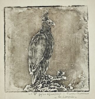 Oiseau de proie by Pierre Roche