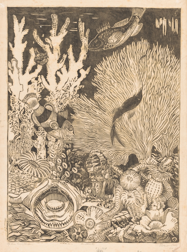 Op den koraalbodem by Henri van der Stok