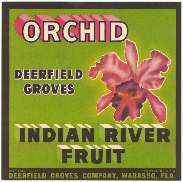 Orchid Citrus Label by Anonymous