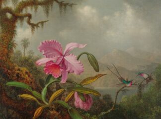 Orchids And Hummingbirds by Martin Johnson Heade