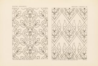 Outlines of ornament in the leading styles Pl.42 by George Ashdown Audsley