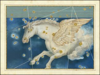 Pegasus by Johann Bayer