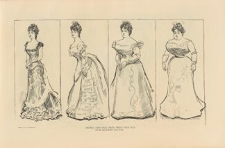 People who will have their own way. The girl who wanted a small waist by Charles Dana Gibson