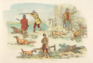 Pheasant fowl by Henry Thomas Alken