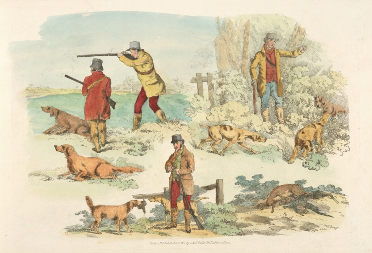 Pheasant fowl by Henry Thomas Alken