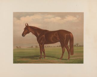 Piedmont by Henry Stull