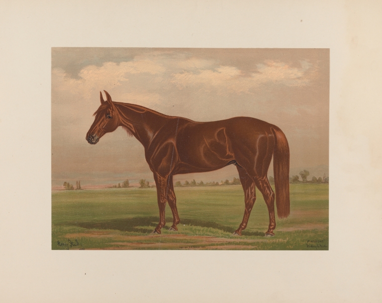 Piedmont by Henry Stull