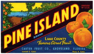 Pine Island Brand Citrus Label by Anonymous