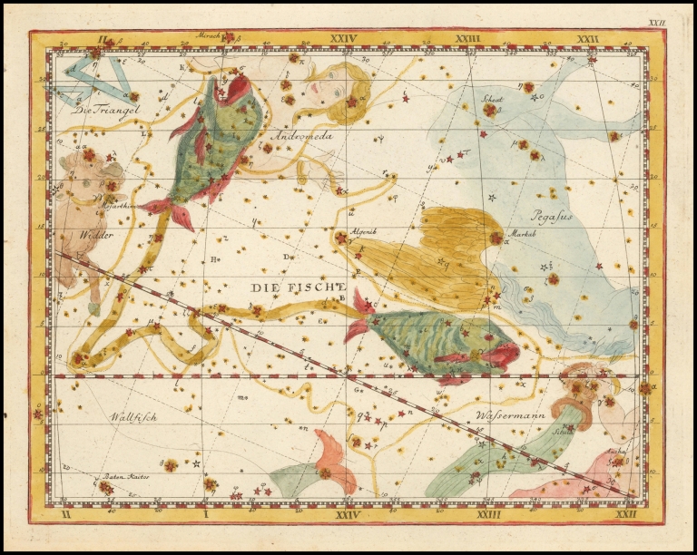 Pisces by Johann Elert Bode